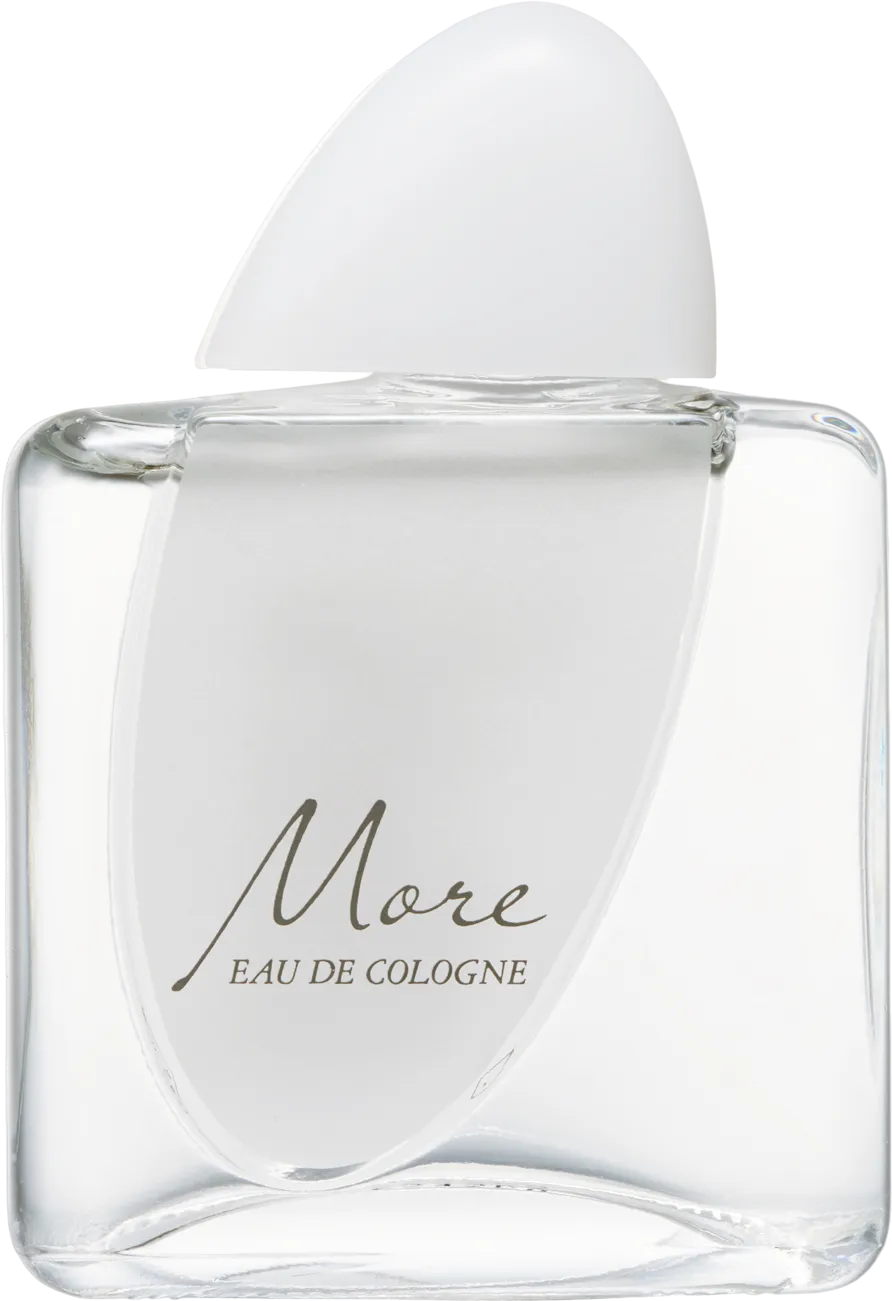 資生堂 モア 60mL ボトル