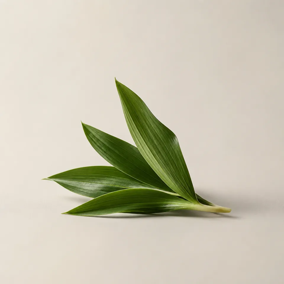 Getto Leaf