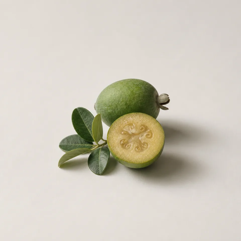 Feijoa