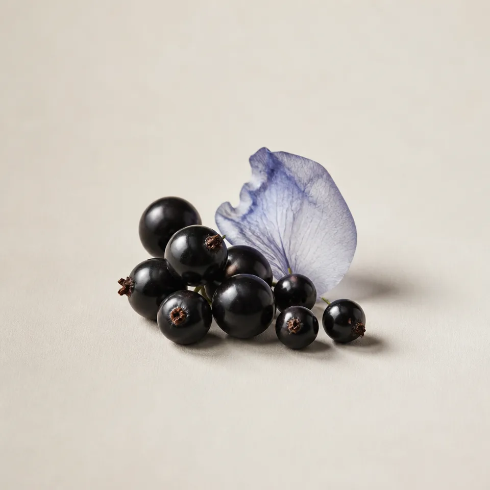 Cassis Celeste