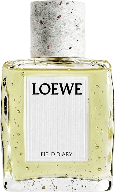ロエベ フィールド ダイアリー 100mL ボトル