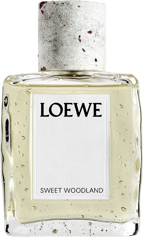 ロエベ スウィート ウッドランド 100mL ボトル