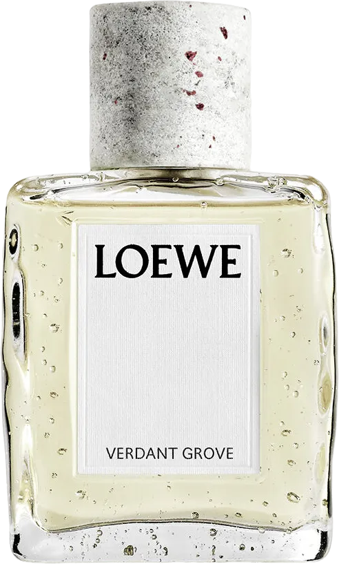 ロエベ バーダント グローブ 100mL ボトル