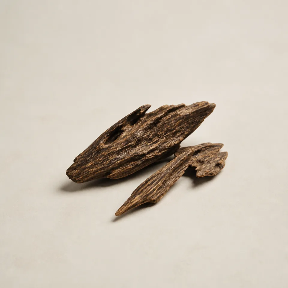 Vietnamese Oud