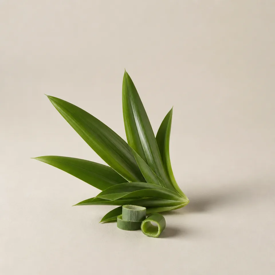 Pineapple Leaf