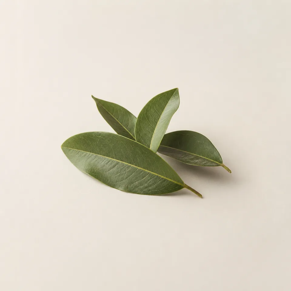 Rosewood Leaf