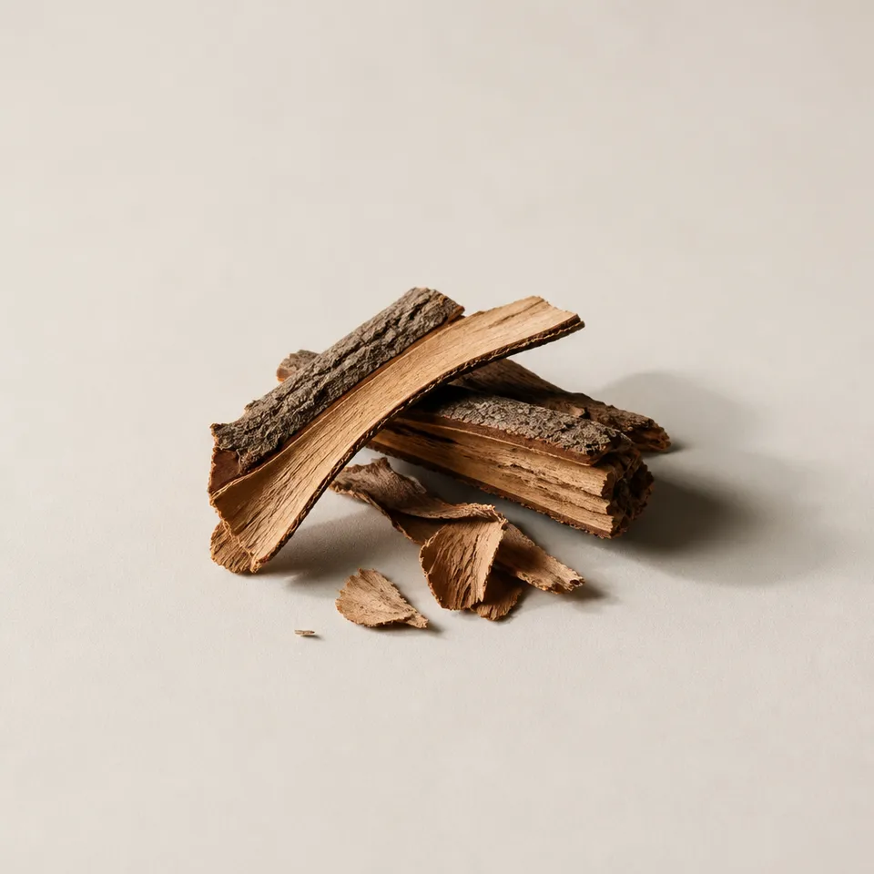 Cinchona Bark