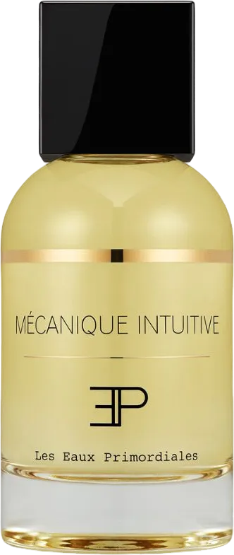 メカニック アンテュイティヴ 100mL ボトル
