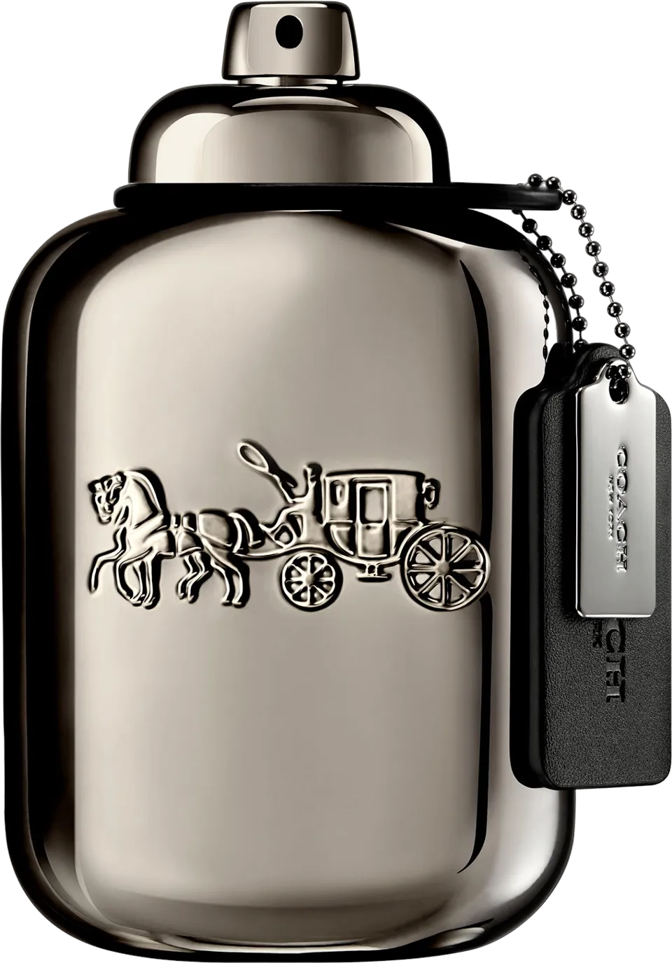 ピュア プラチナム 100mL ボトル