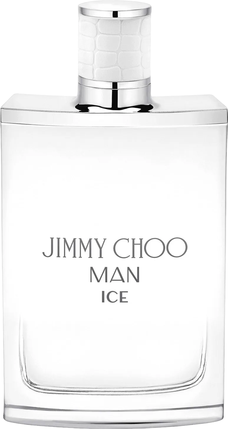 マン アイス オードトワレ 100mL ボトル