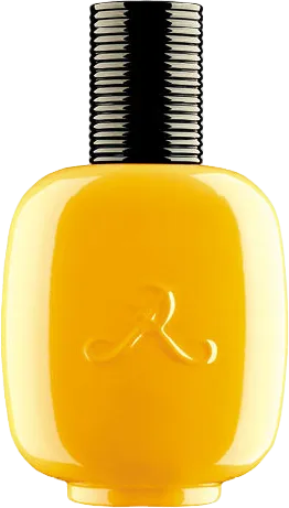 ヴァニーユ パラドックス 100mL ボトル