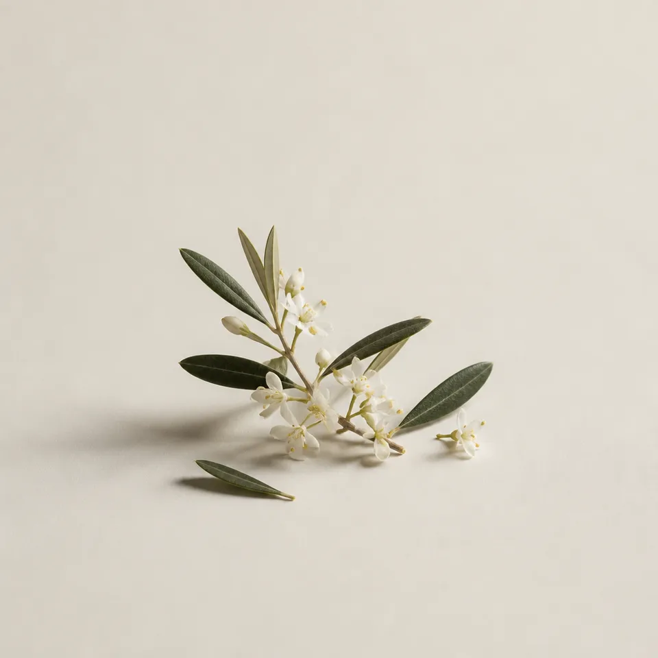 Olive Flower