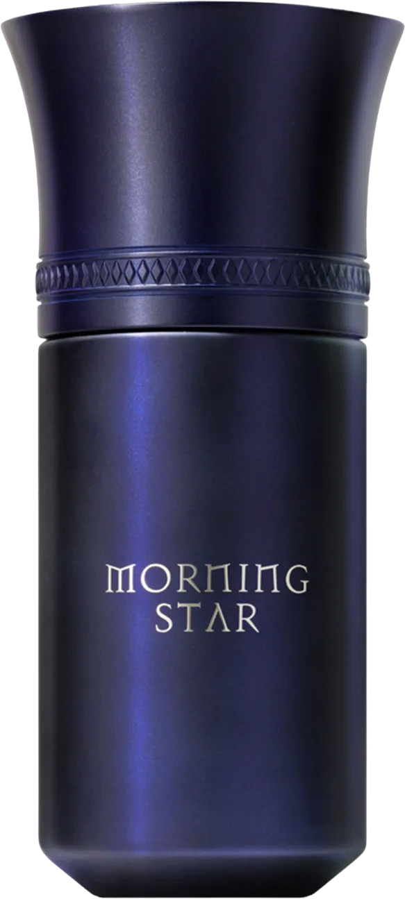 モーニング スター 100mL ボトル