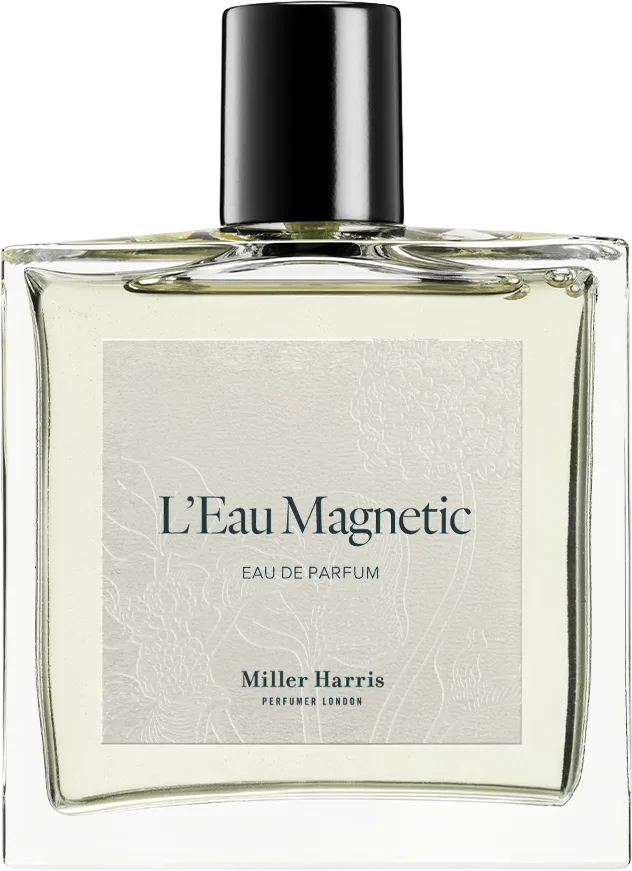 ローマグネティック 100mL ボトル