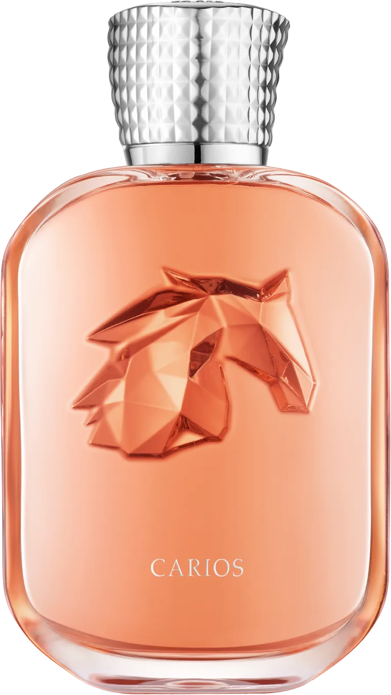 カリオス 100mL ボトル