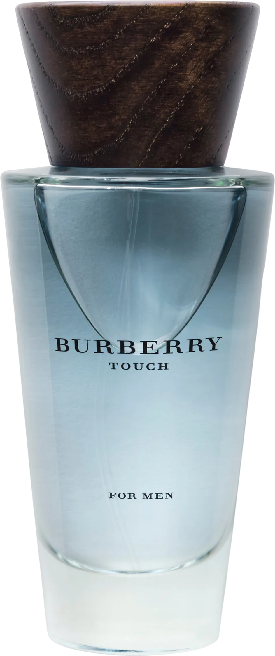 タッチ フォー メン 100mL ボトル