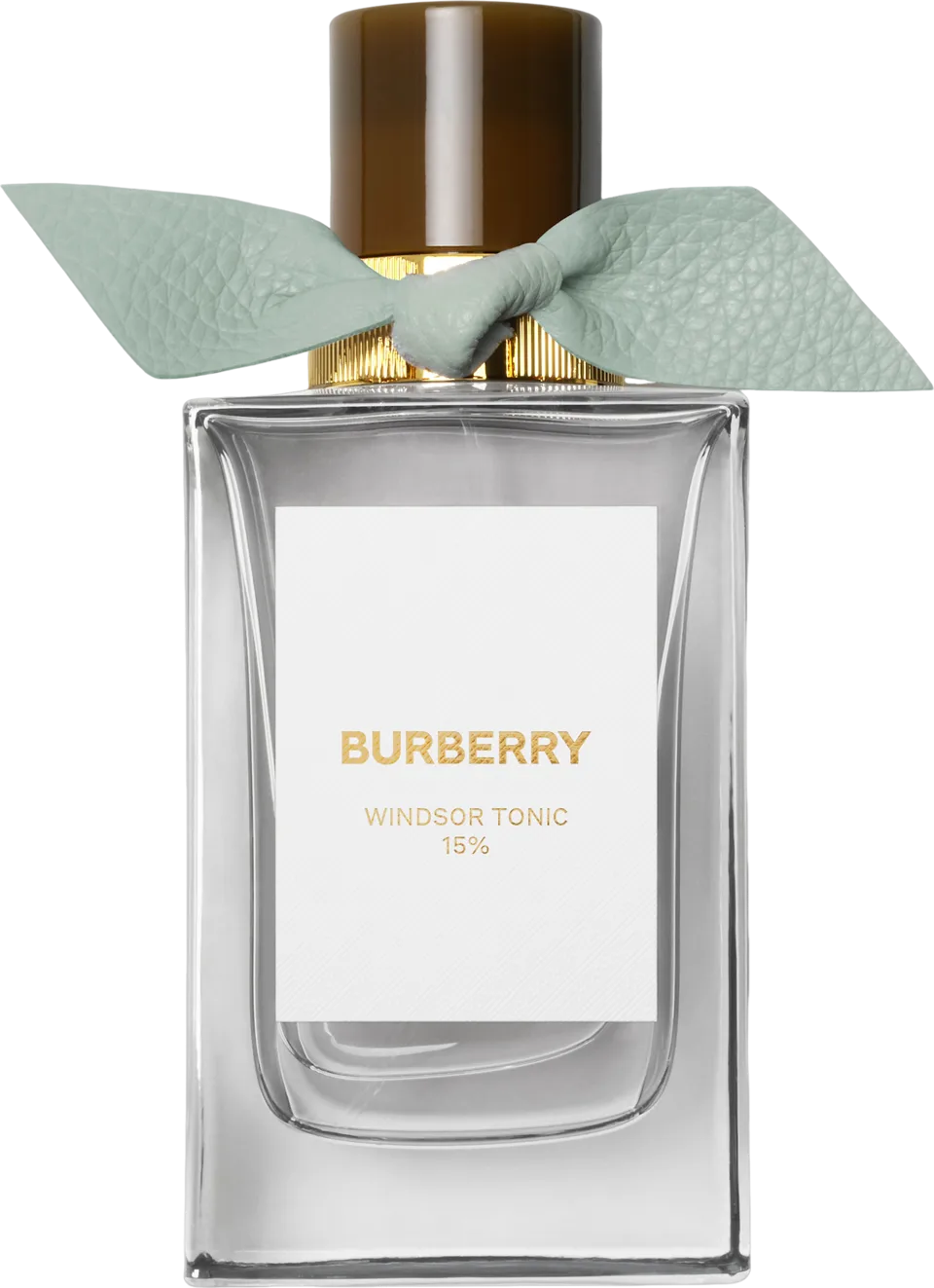 ウィンザー トニック 100mL ボトル