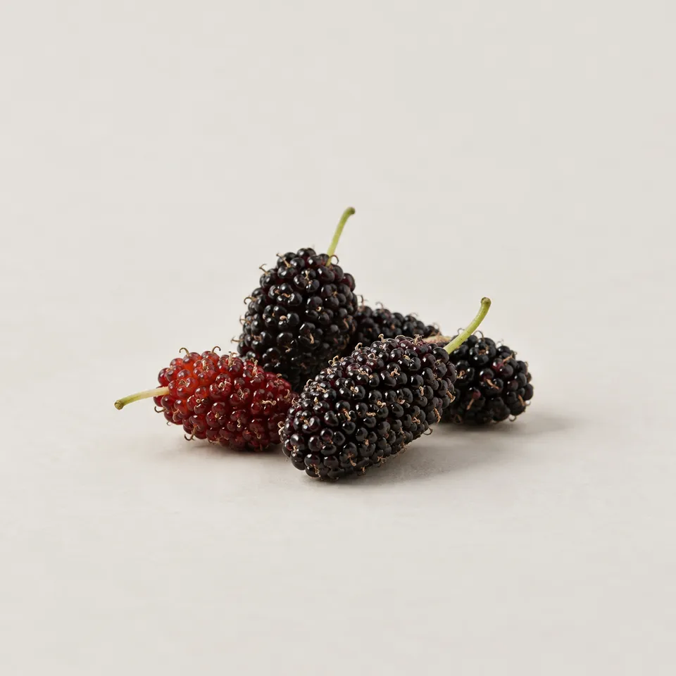 Mulberry fragrance note illustration