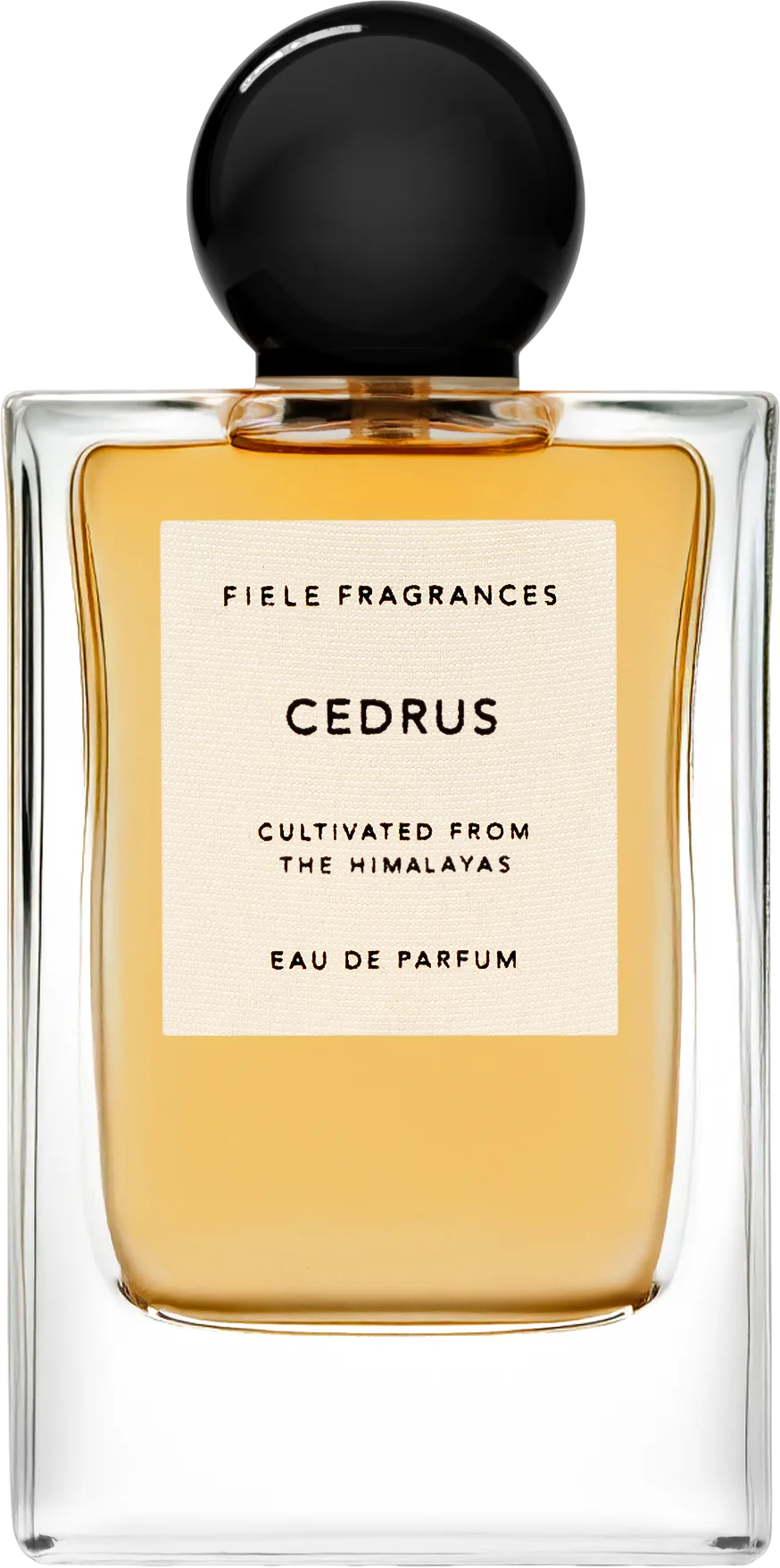 セドラス 50mL ボトル