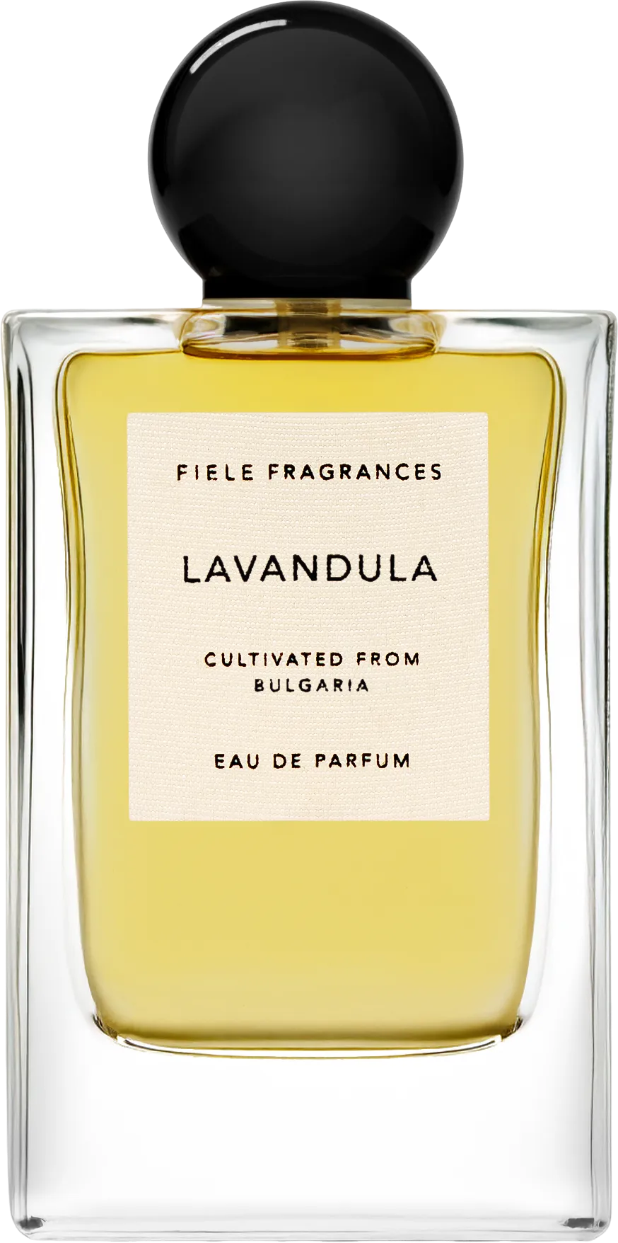 ラヴァンドゥラ 50mL ボトル