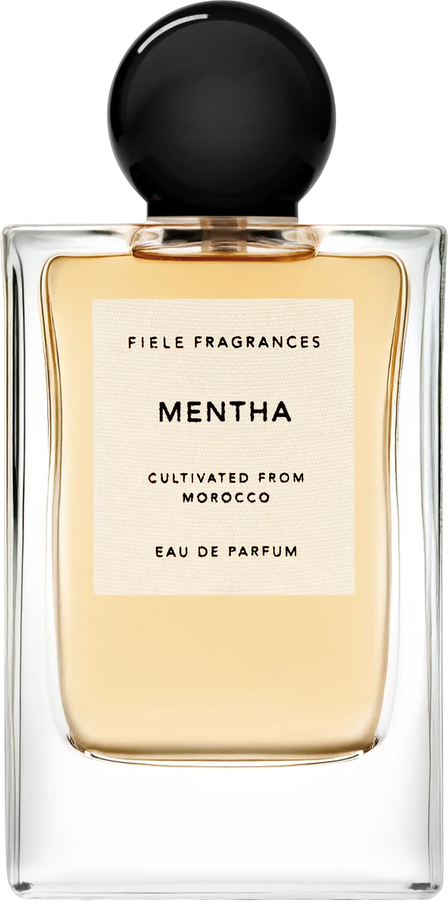 メンタ 50mL ボトル
