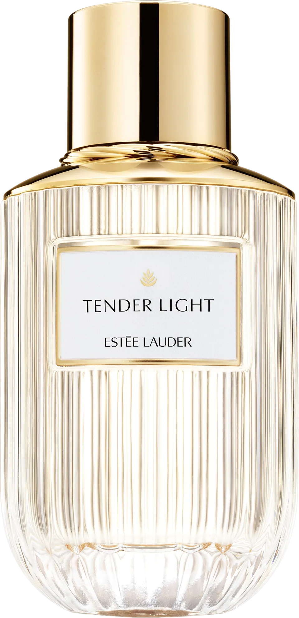 テンダー ライト 100mL ボトル