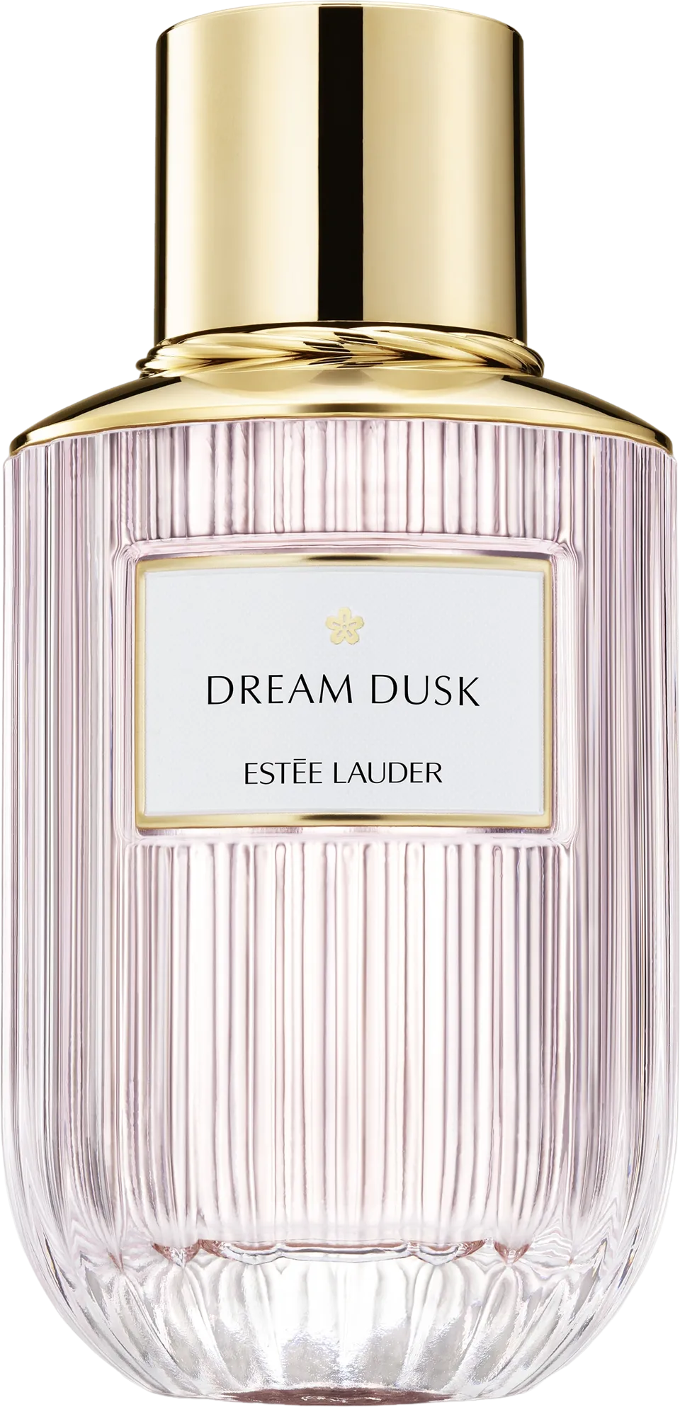 ドリーム ダスク 100mL ボトル