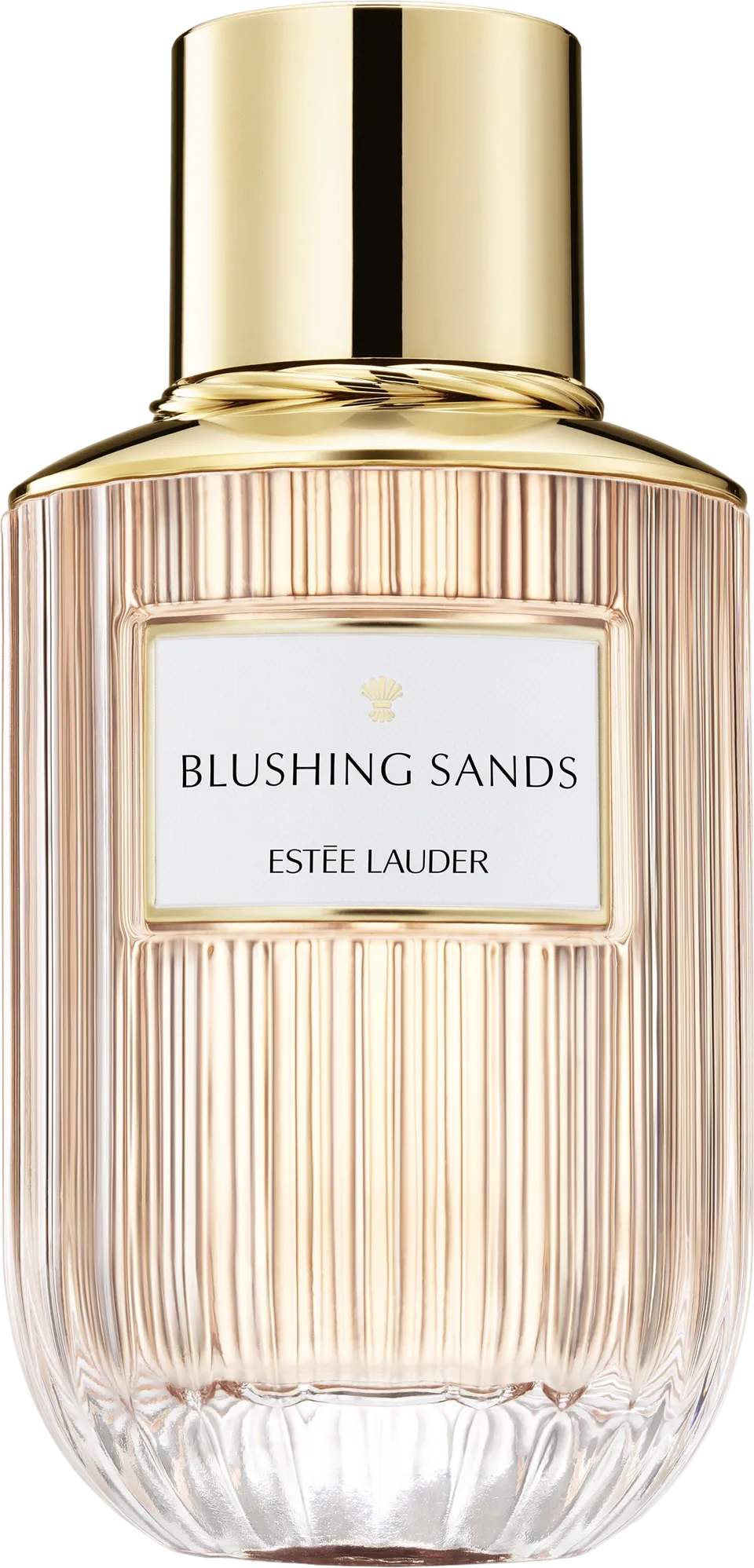 ブラッシング サンズ 100mL ボトル