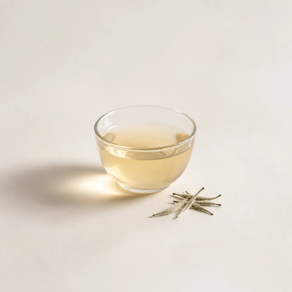 Silver Needle Tea — representative note illustration