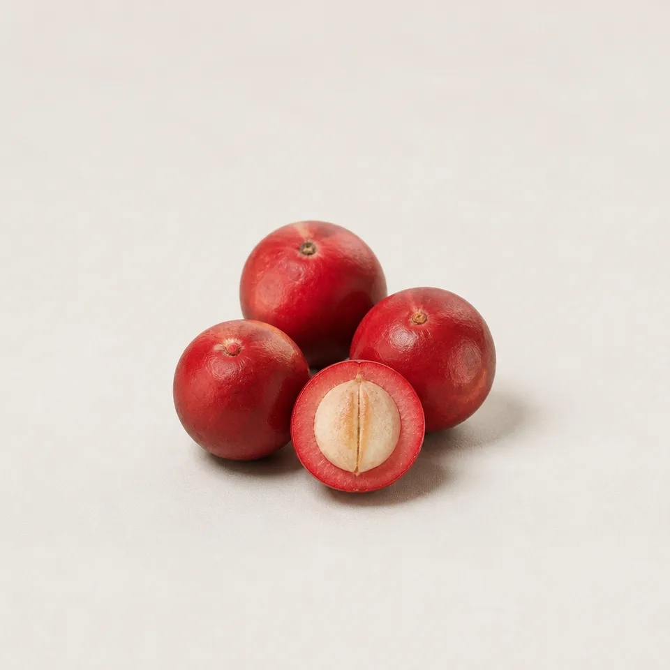 Quandong (Australian Desert Peach) — representative note illustration