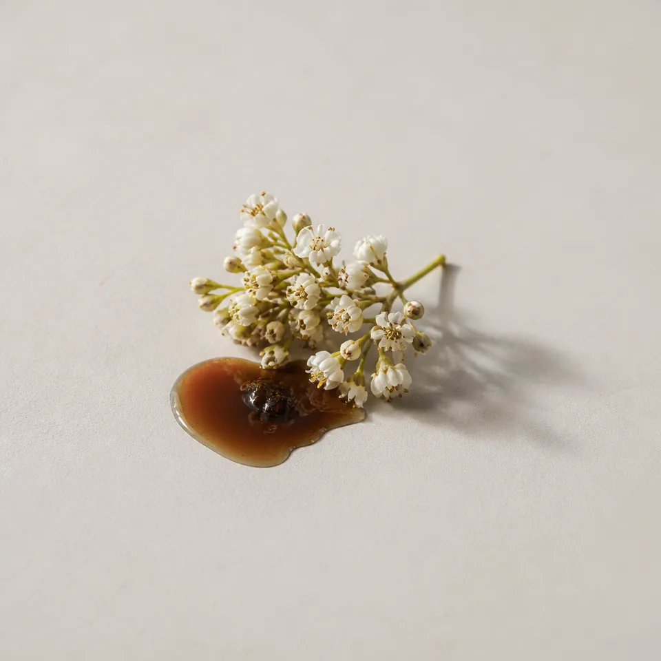 Henna Flower — representative aroma illustration