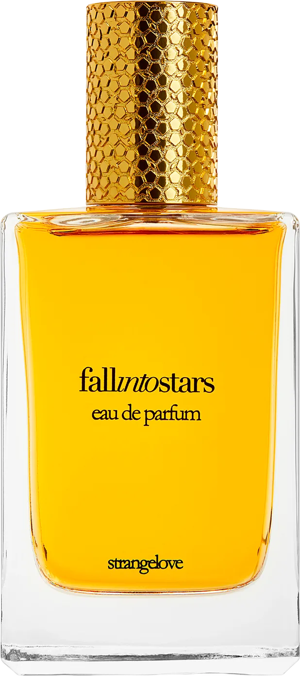 フォール イントゥ スターズ エクストレ ド パルファン 100mL ボトル