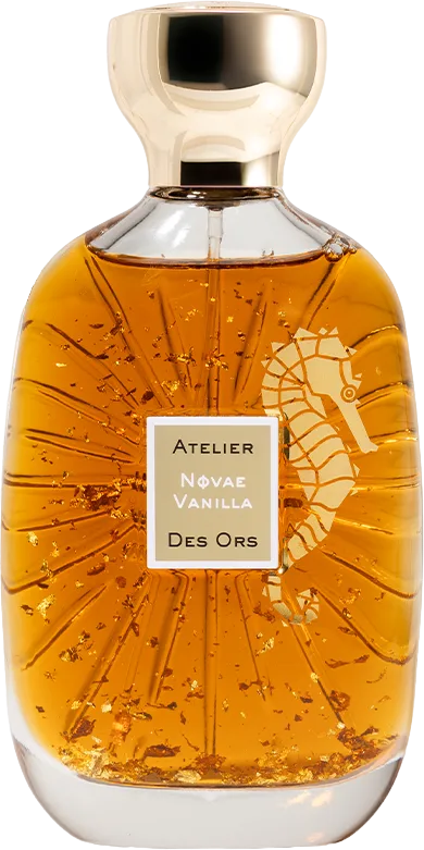 ノヴァエ バニラ 100mL ボトル