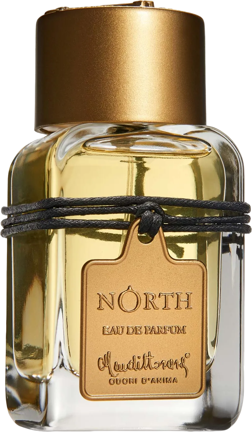ノース 100mL ボトル