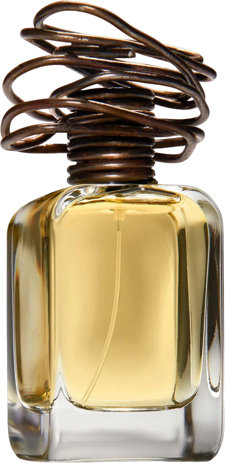 アルケティポ 100mL ボトル